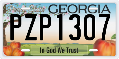 GA license plate PZP1307