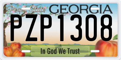 GA license plate PZP1308