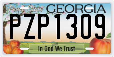 GA license plate PZP1309