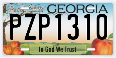 GA license plate PZP1310