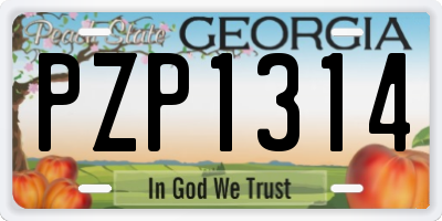 GA license plate PZP1314