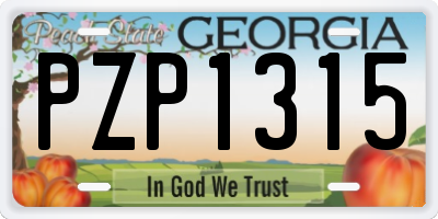 GA license plate PZP1315