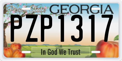 GA license plate PZP1317