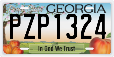 GA license plate PZP1324
