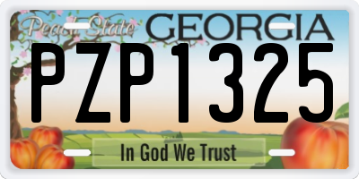 GA license plate PZP1325