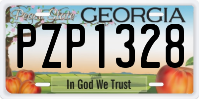 GA license plate PZP1328