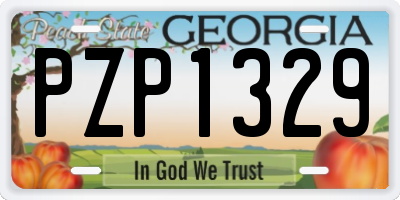 GA license plate PZP1329