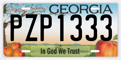 GA license plate PZP1333