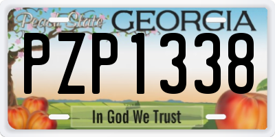 GA license plate PZP1338