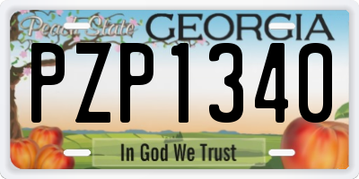 GA license plate PZP1340