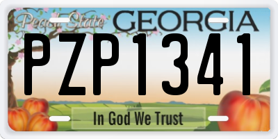 GA license plate PZP1341