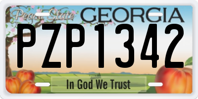 GA license plate PZP1342