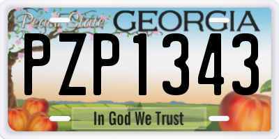 GA license plate PZP1343