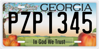 GA license plate PZP1345