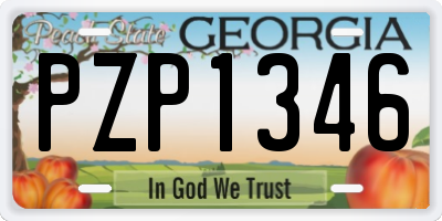 GA license plate PZP1346