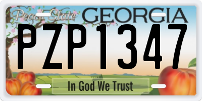 GA license plate PZP1347