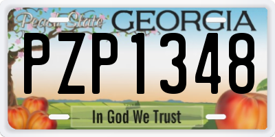 GA license plate PZP1348