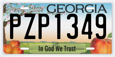 GA license plate PZP1349
