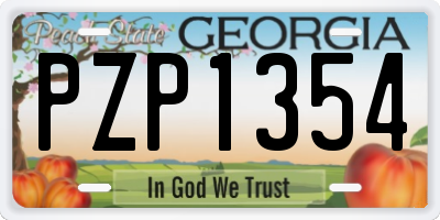 GA license plate PZP1354