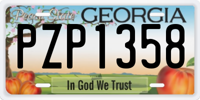 GA license plate PZP1358