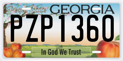 GA license plate PZP1360