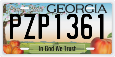 GA license plate PZP1361