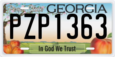 GA license plate PZP1363