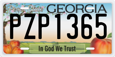 GA license plate PZP1365