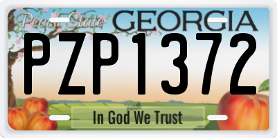 GA license plate PZP1372