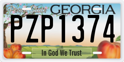 GA license plate PZP1374