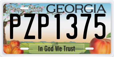 GA license plate PZP1375