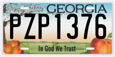 GA license plate PZP1376