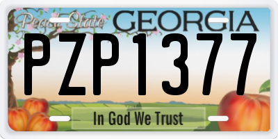 GA license plate PZP1377