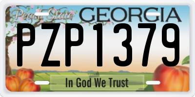 GA license plate PZP1379