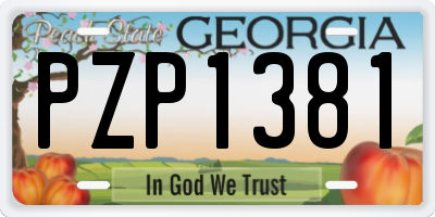 GA license plate PZP1381