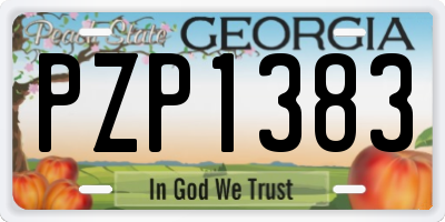 GA license plate PZP1383