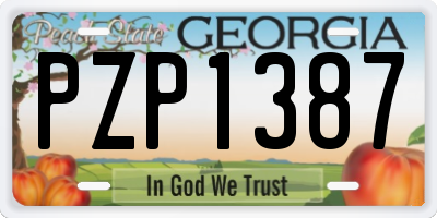 GA license plate PZP1387