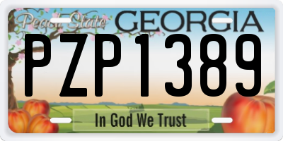 GA license plate PZP1389