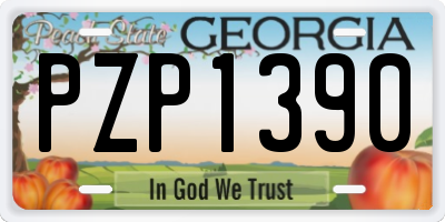 GA license plate PZP1390