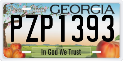 GA license plate PZP1393