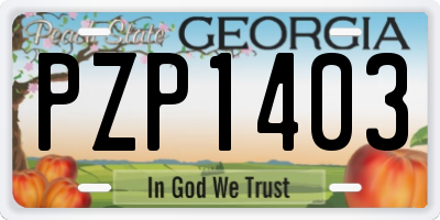 GA license plate PZP1403