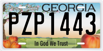 GA license plate PZP1443