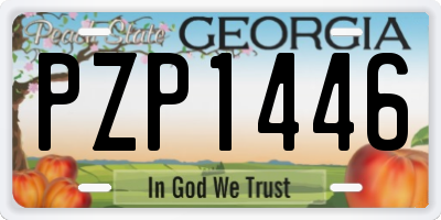 GA license plate PZP1446