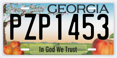 GA license plate PZP1453