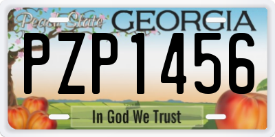 GA license plate PZP1456