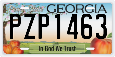 GA license plate PZP1463