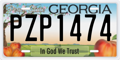 GA license plate PZP1474