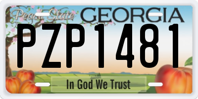 GA license plate PZP1481