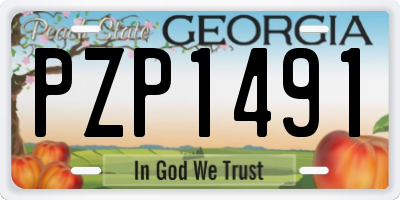 GA license plate PZP1491
