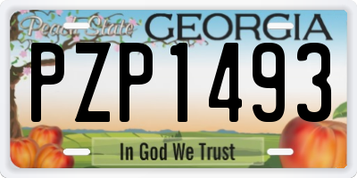 GA license plate PZP1493